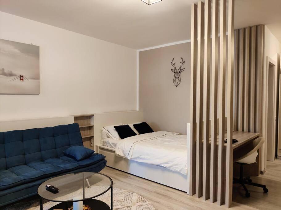 Joy City Stay Vivalia V6A-41 Timişoara Exterior foto